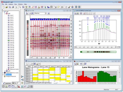 Geldokumentationssysteme Software